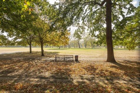Local-PArk.jpg