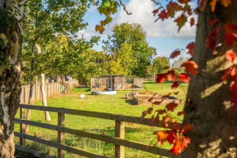 Property Image 32