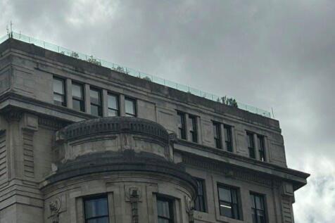 Rooftop terrace.jpg