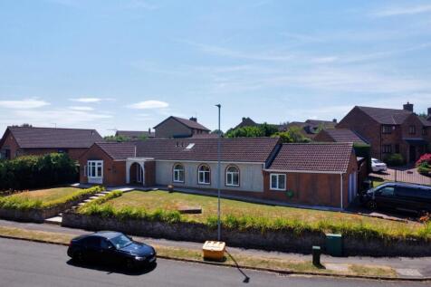 dji_fly_20250704_130614_484_1751630984831_photo_op