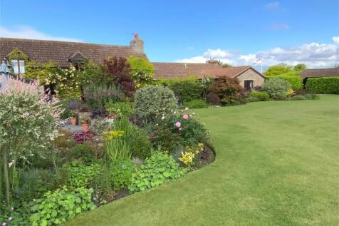 Flower Bed