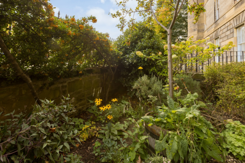 Shared Garden