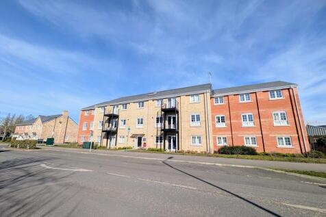 PXL_20250305_1127...