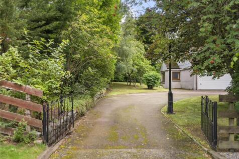 Bellenden Walk