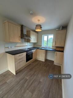 Open Plan: Kitchen Area
