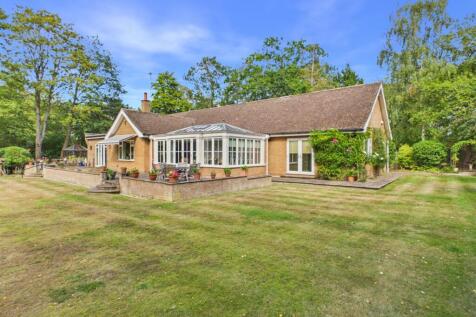 Rear of Property