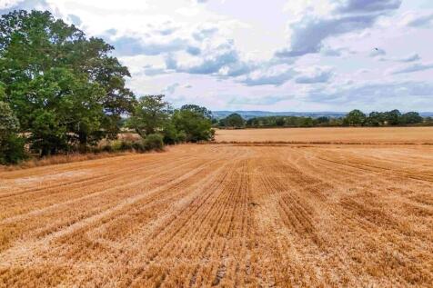 web DJI_202608141...