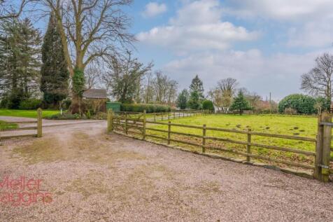 20250321-20250321-DSC07224-Edit (2).jpg