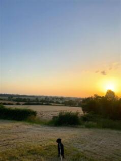 IMG_2700.jpeg