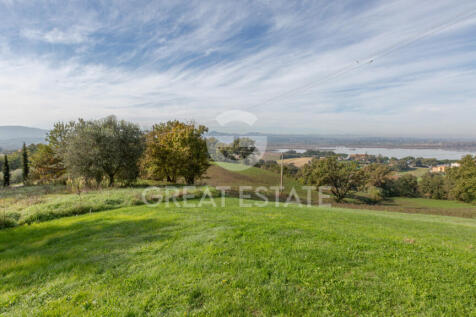 Panorama e Particolari