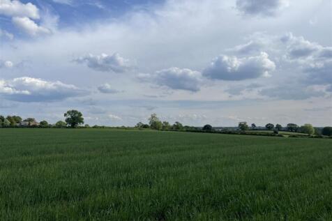 Photo 20-05-2025, 4 33 38 PM.jpg