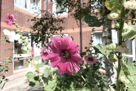Communal Garden