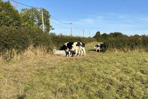 Lot B Water Trough