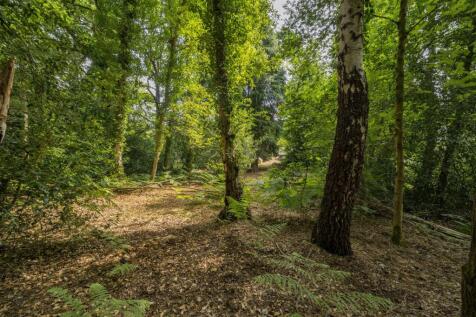 1317437-3-6867a037b13a3 (2).JPG