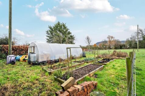 Vegetable beds with polytunel.jpg