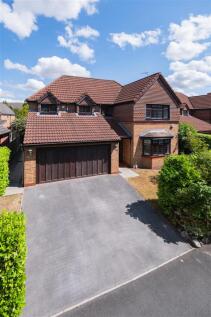 51 Monarch Drive-058.JPG