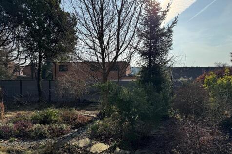 13 T202502191132.jpg