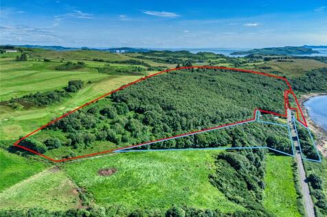 Fintry Bay Woods