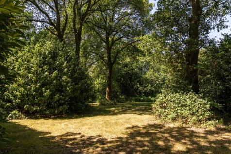 Property Image 44