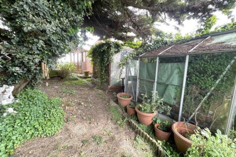 Greenhouse and shed.jpeg