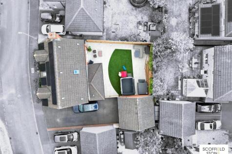 Birdseye