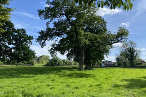 Field 2 by sep neg.jpg