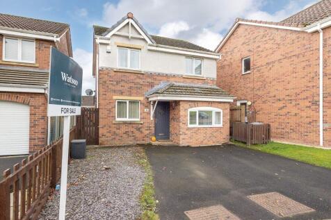 Property Image 32
