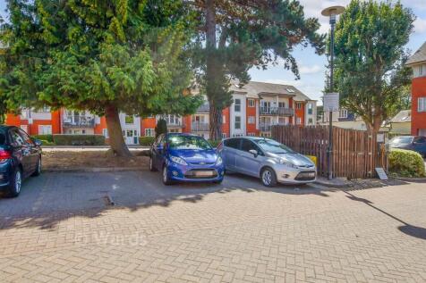 Driveway/Parking