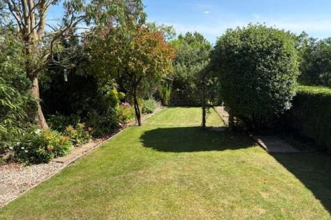Garden 2.jpg