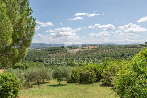 Panorama e Particolari