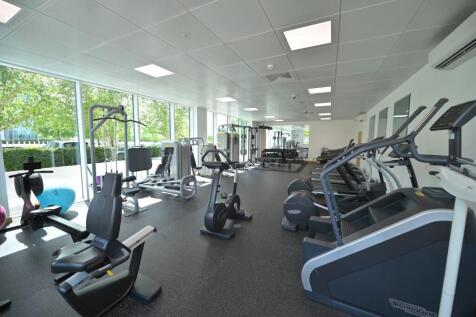 gym.jpeg