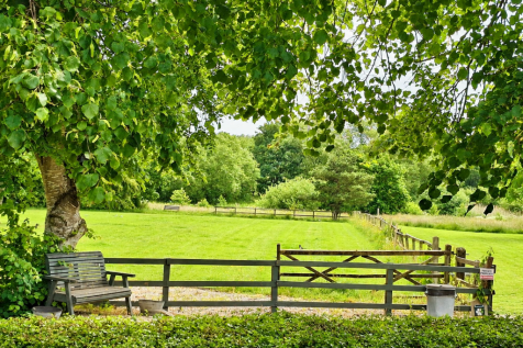 Garden Views