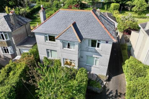 dji_fly_20250519_164746_0208_1747669935749_photo.j