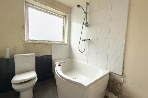 IMG 7438 T202511081225.jpg