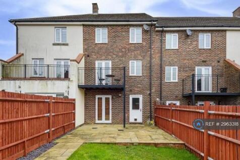 Back Garden
