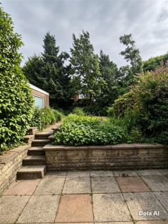 Back garden