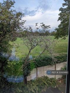 View From Bedroom 