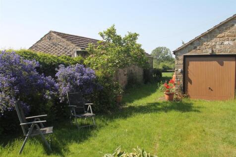 garden.JPG
