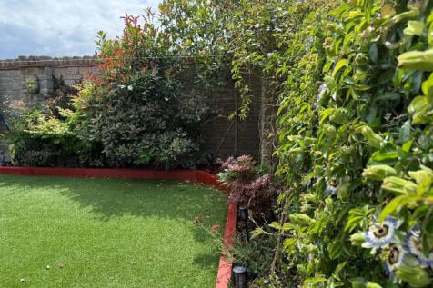 Garden b.jpg