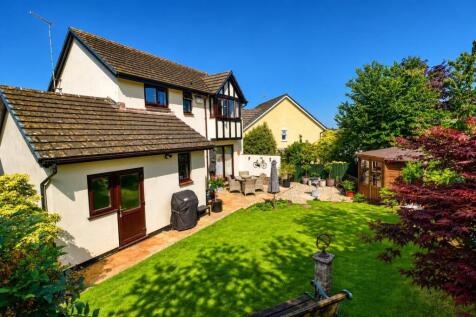 Back Garden