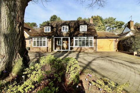 Front Garden/Driveway