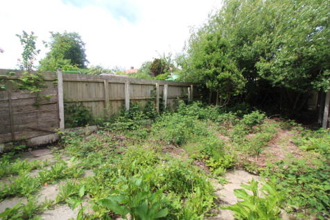 Garden T202606031212.jpg