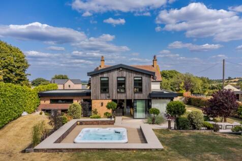 Back Garden