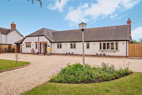 Immaculate House