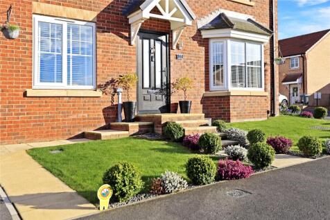 Picture No. 31