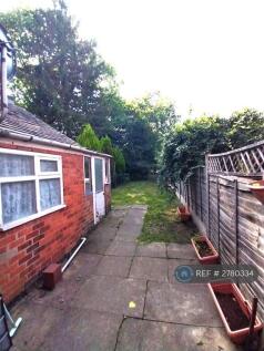 Back Yard And Garden
