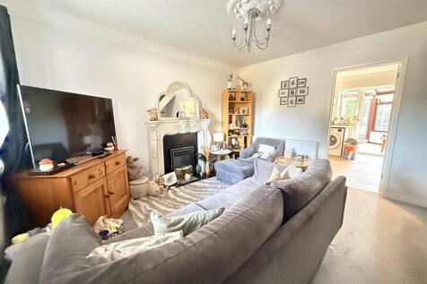 IMG_4969.jpeg