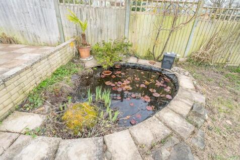 Feature Pond