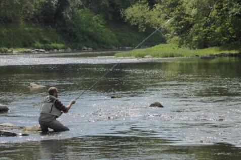 Tyr-Celyn Fishing Heol Fach