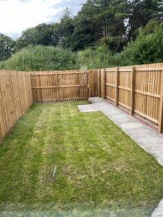 garden  (1).JPG